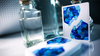 Memento Mori Blue
