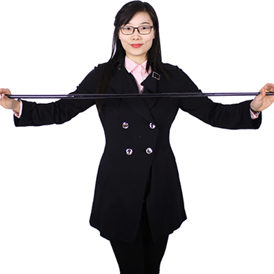 Bastón de Desaparición