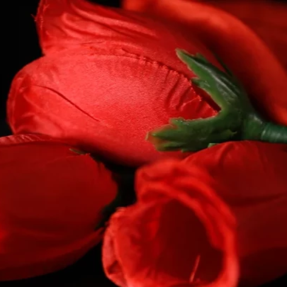 La Rosa 2.0 - Bond Lee & Wenzi Magic