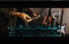 Proyecto SLYT - Sistema de Levitación y Telequinesis